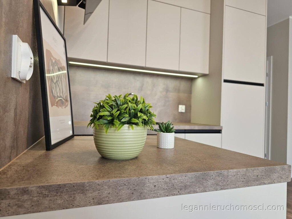 1-pokojowe mieszkanie, 30,79 m², Słubice