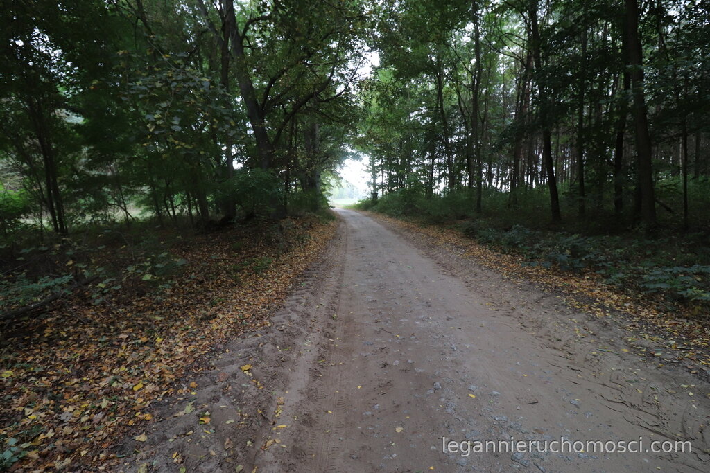 Działka, Mironice