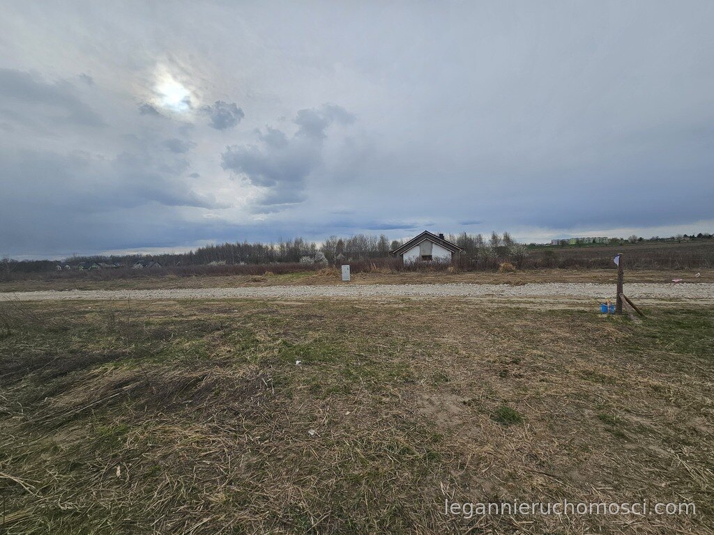 Działka, Czechów