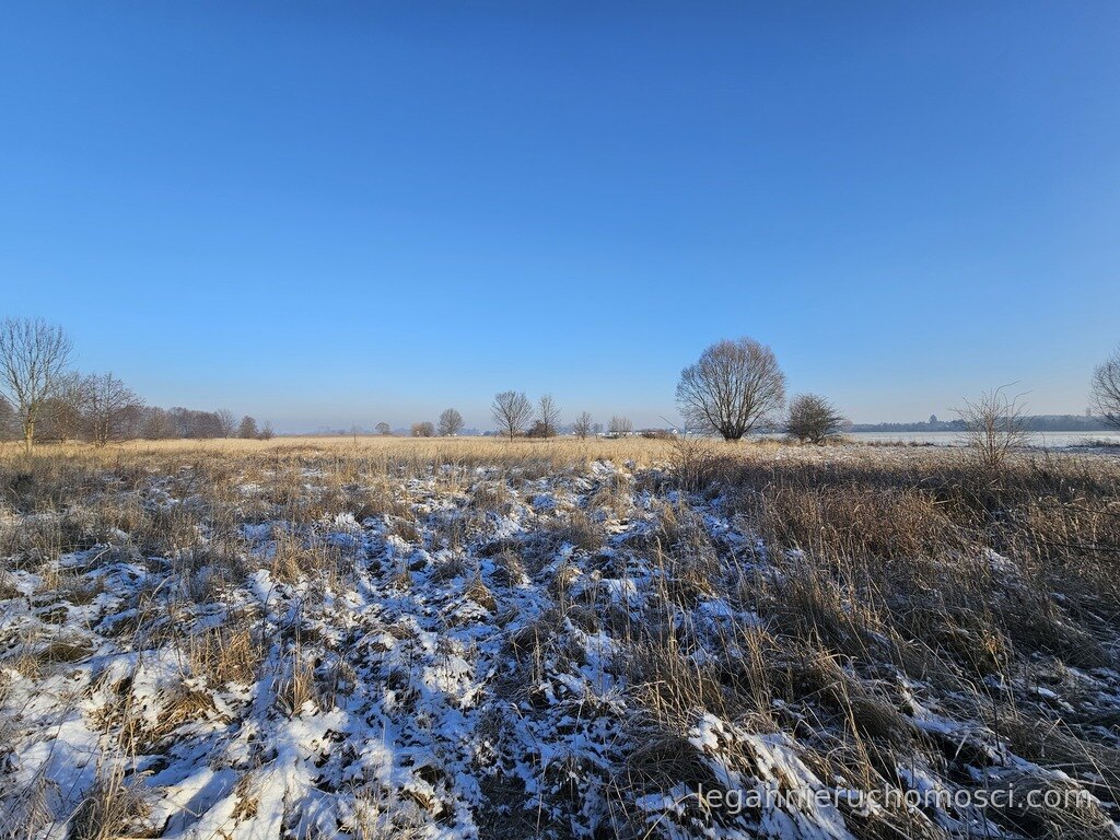 Działka, Ulim