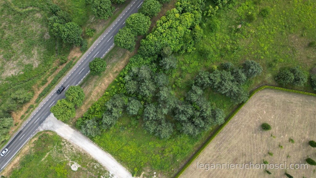 Działka, Różanki
