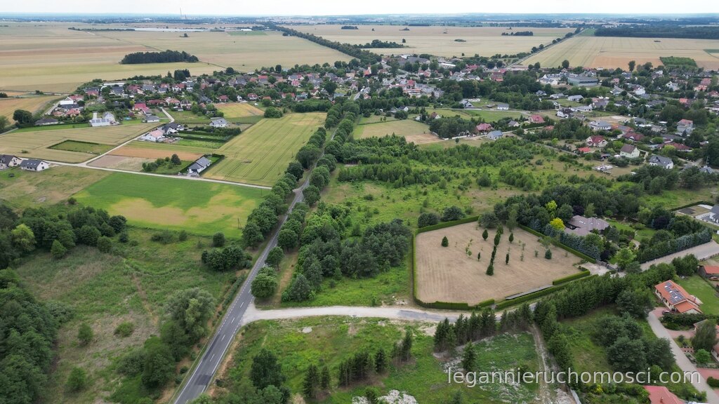 Działka, Różanki