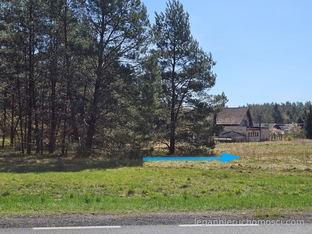 Działka, Zdroisko