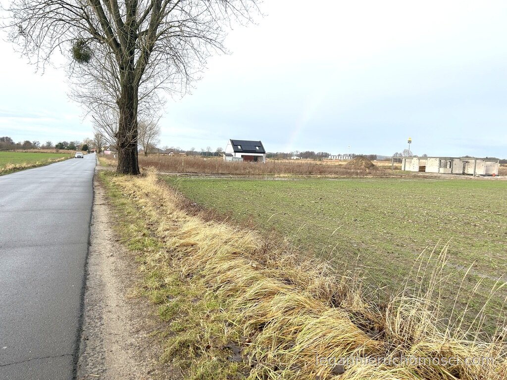 Działka, Gorzów Wielkopolski, Zieleniec