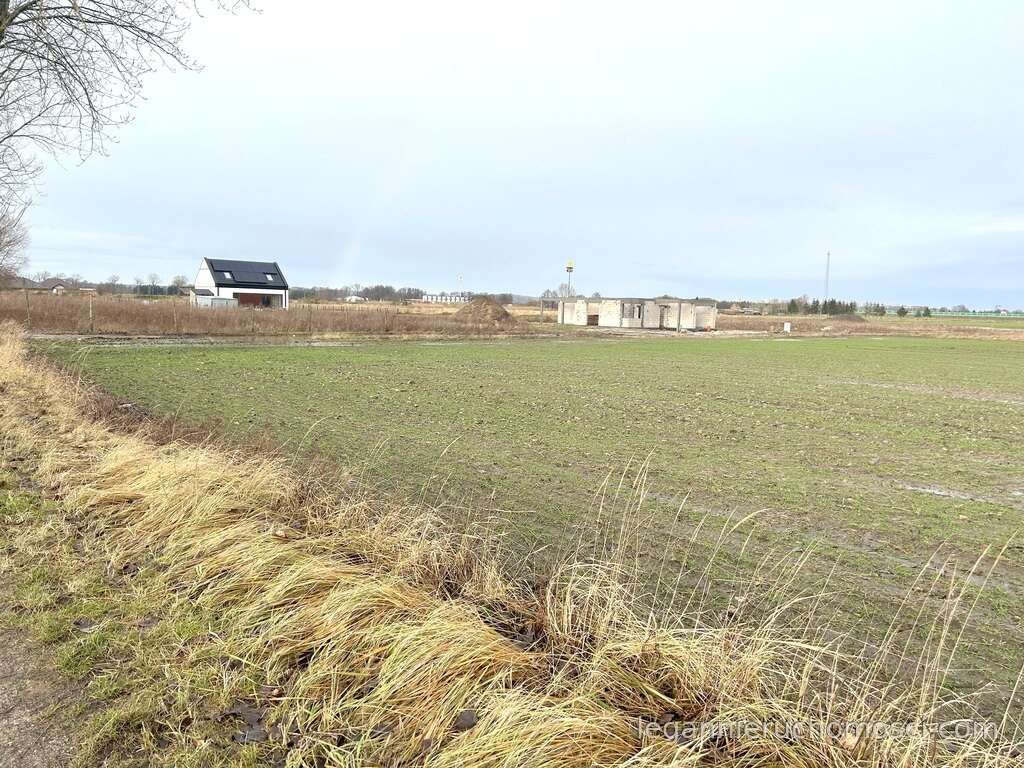 Działka, Gorzów Wielkopolski, Zieleniec