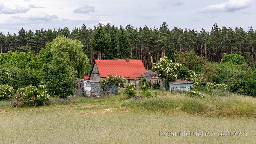Dom, 4 pokoje, 154,00 m², Mościce