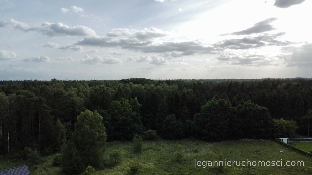 Działka, Skwierzyna