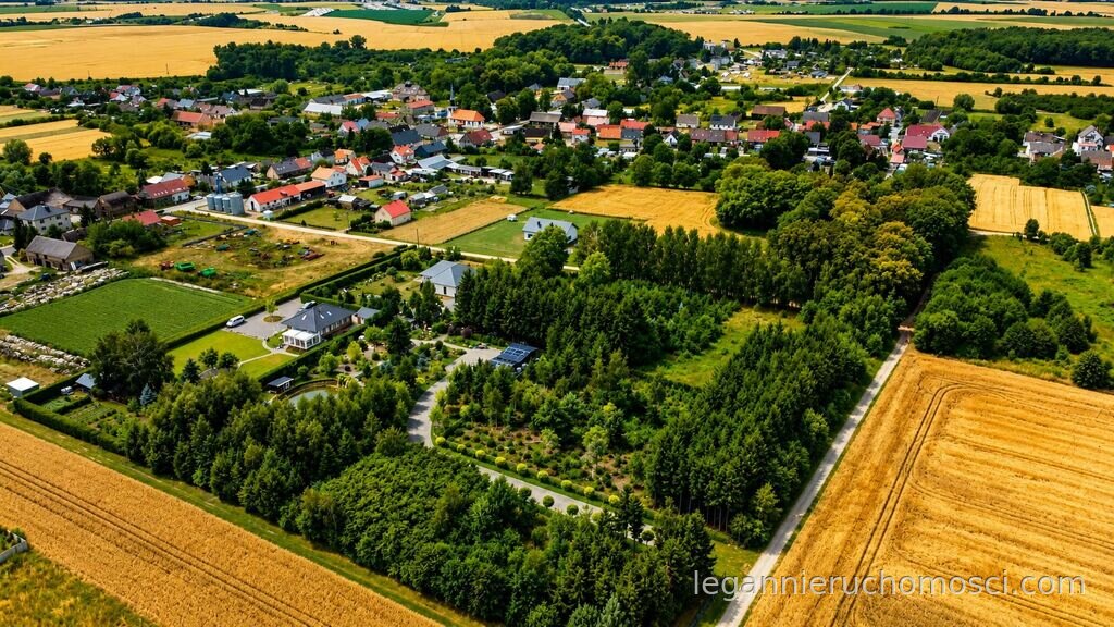 Działka, Gralewo