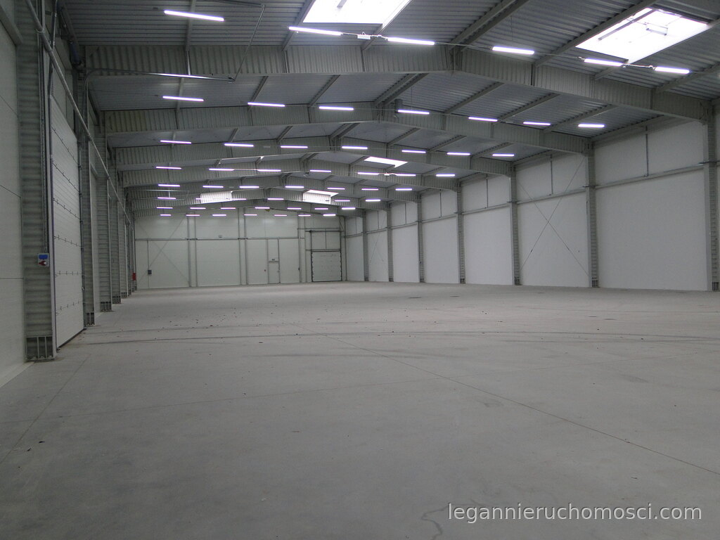 Obiekt komercyjny na wynajem, 3 pokoje, 1 520,00 m², Gorzów Wielkopolski