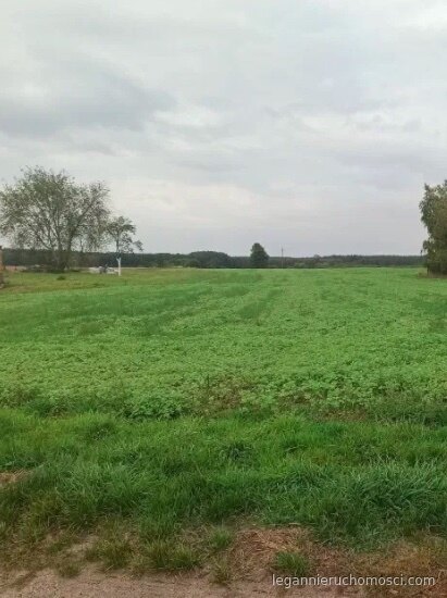 Działka, Ściechów