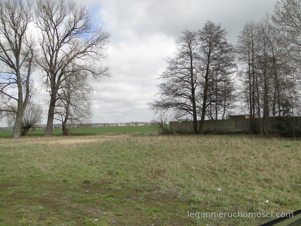 Działka, Gorzów Wielkopolski, Zakanale