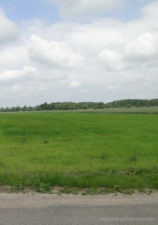 Działka, Ulim