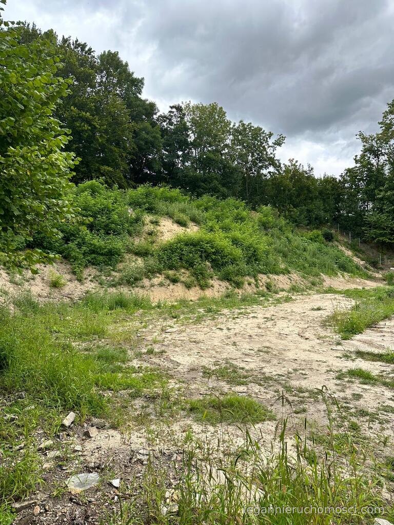 Działka, Gorzów Wielkopolski, Śródmieście