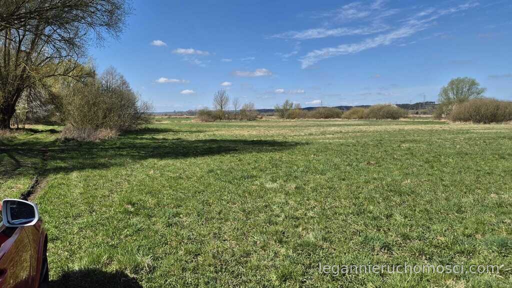 Działka, Wieprzyce