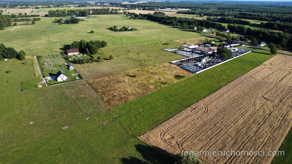 Działka, Borek