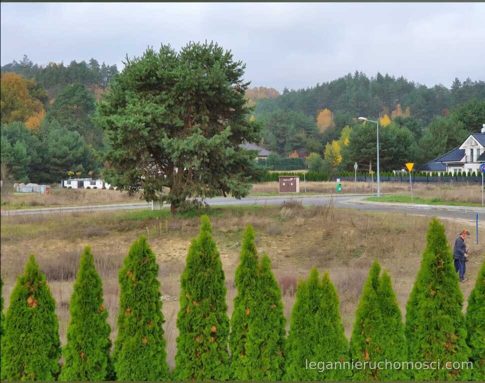 Działka, Jenin