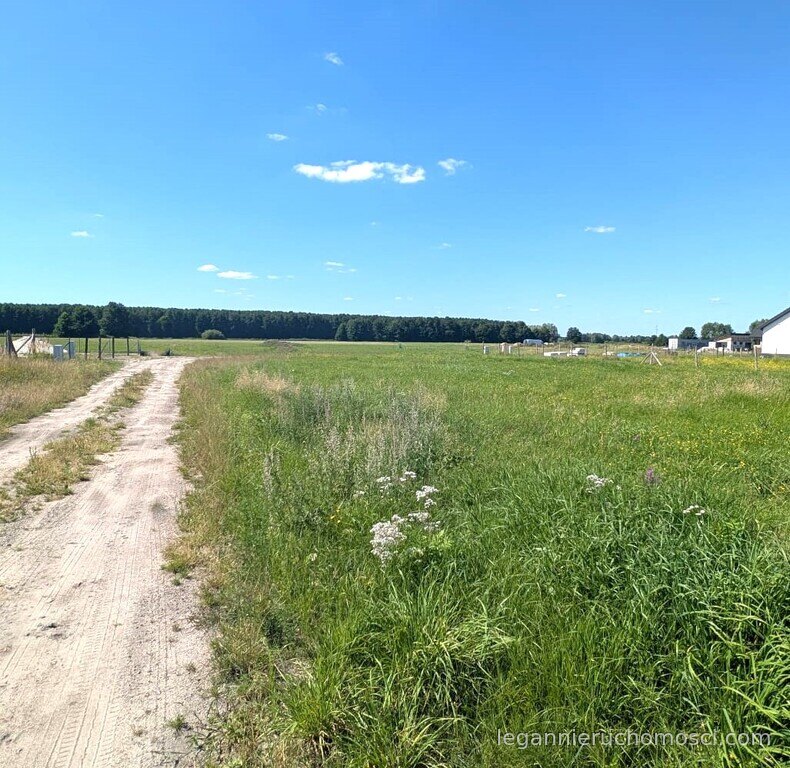 Działka, Bolemin