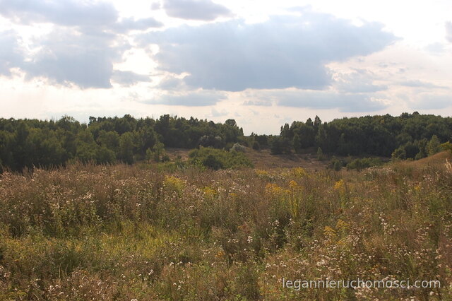 Dom, 6 pokoi, 160,00 m², Gorzów Wielkopolski, os. Europejskie