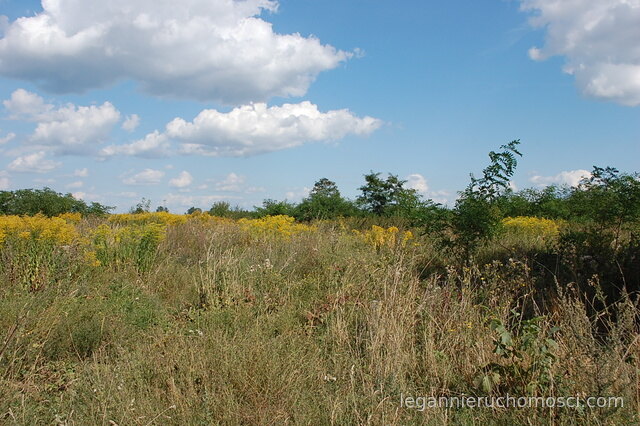Działka, Wawrów