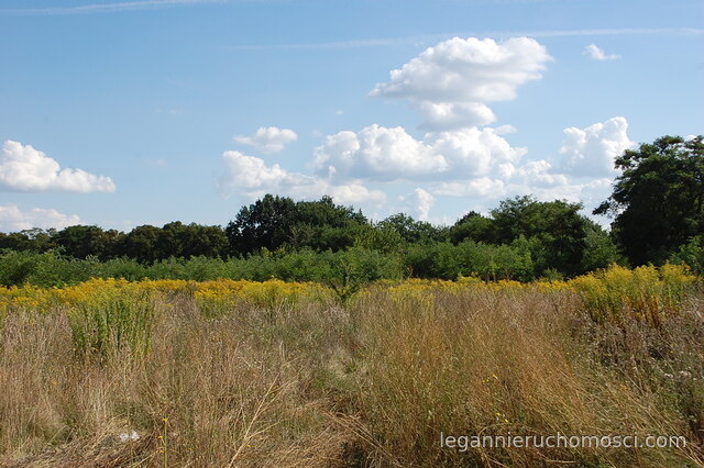 Działka, Wawrów