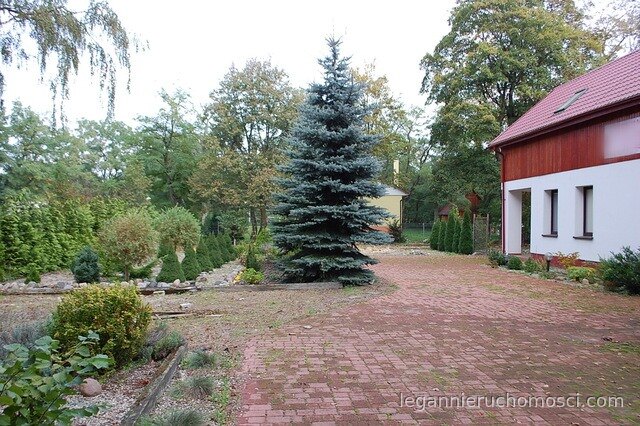 Dom, 7 pokoi, 231,20 m², Santoczno