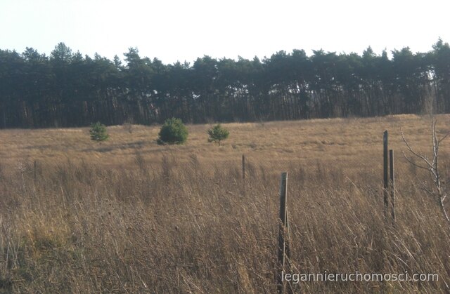 Działka, Pniów