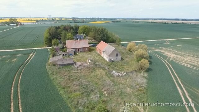 Dom, 5 pokoi, 180,00 m², Myślibórz