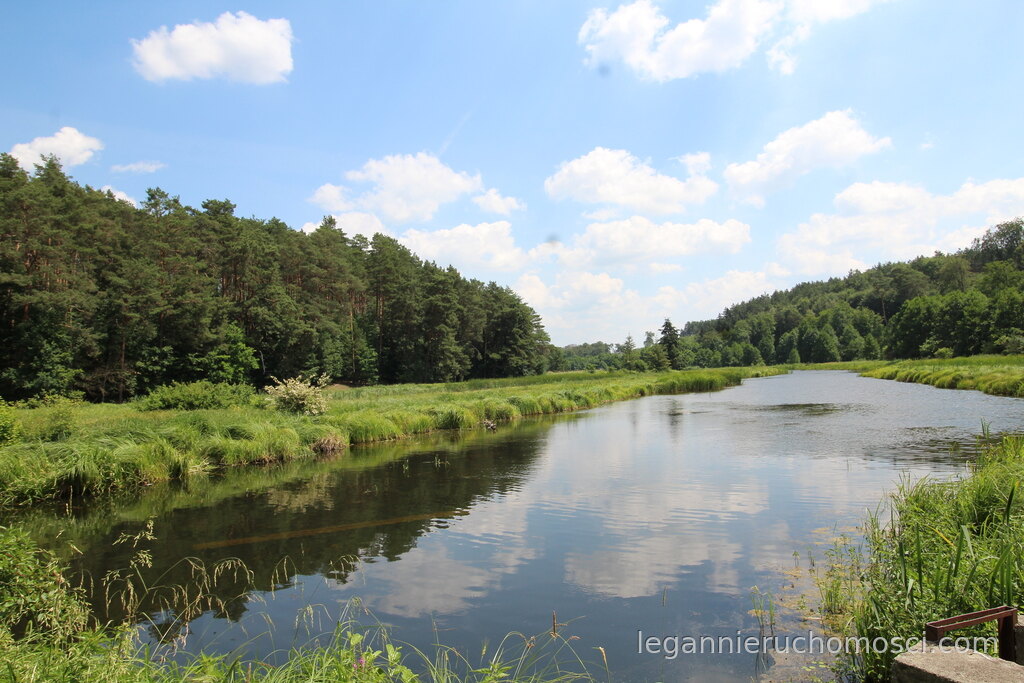 Działka, Przyłęg