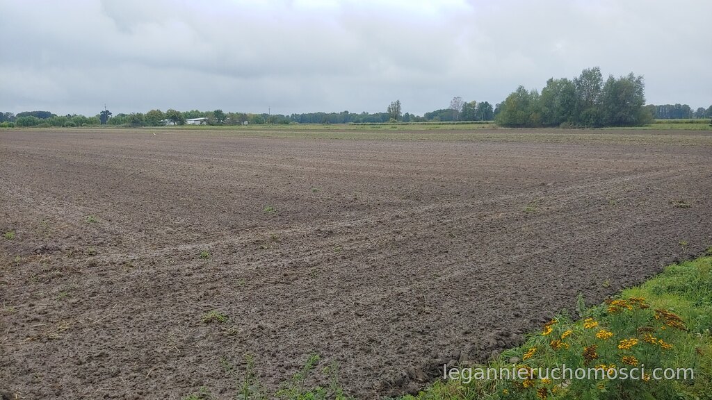 Działka, Gorzów Wielkopolski, Zieleniec