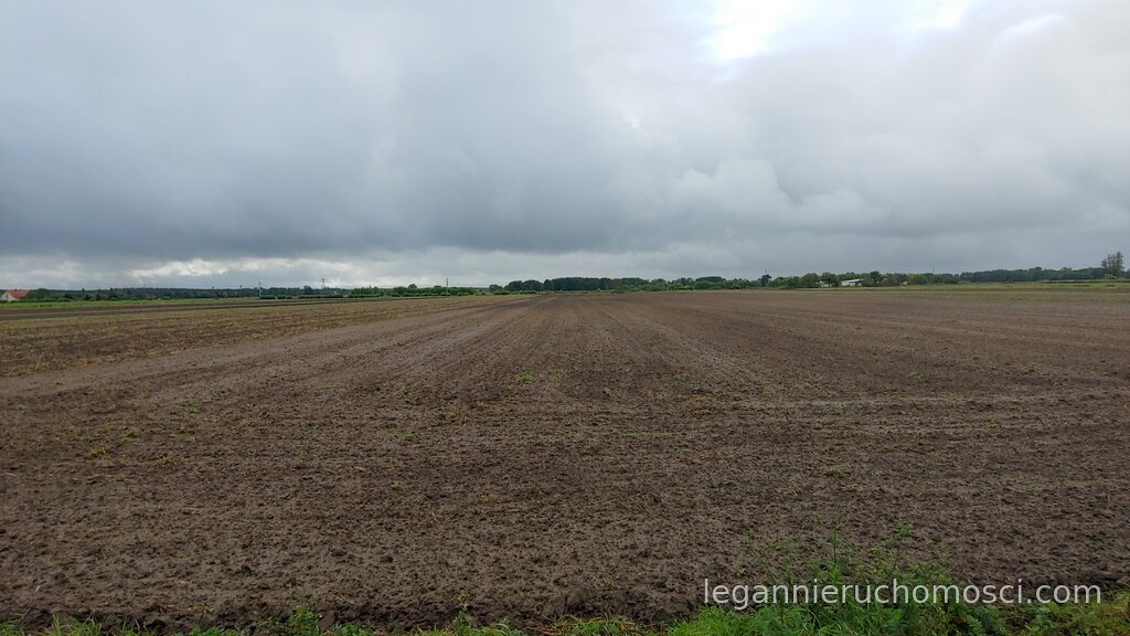 Działka, Gorzów Wielkopolski, Zieleniec