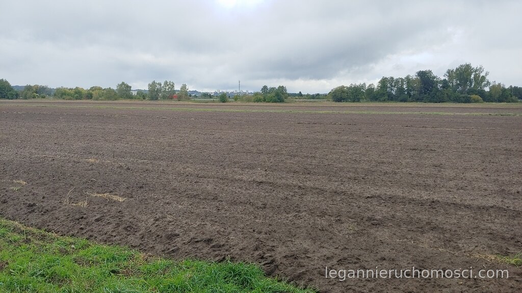 Działka, Gorzów Wielkopolski, Zieleniec