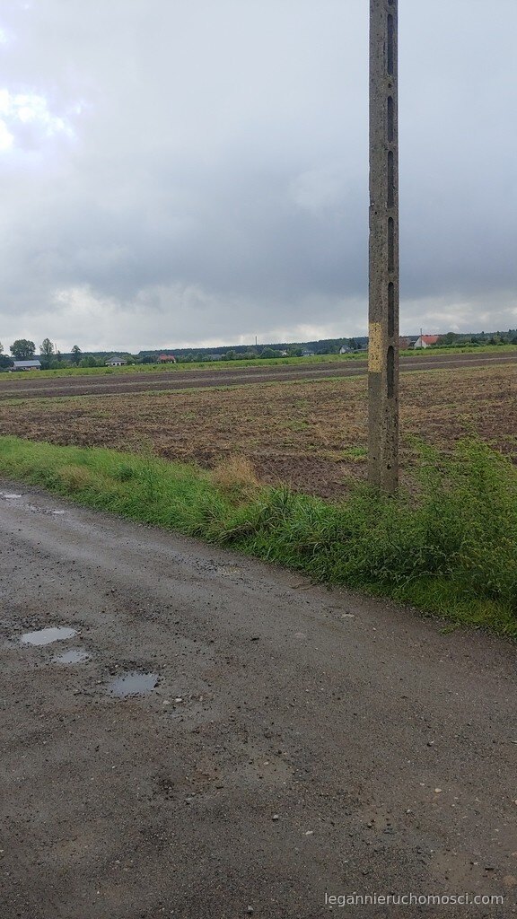 Działka, Gorzów Wielkopolski, Zieleniec