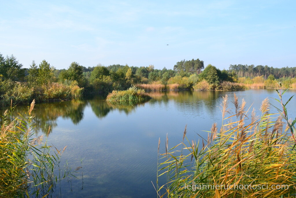 Działka, Przysieka