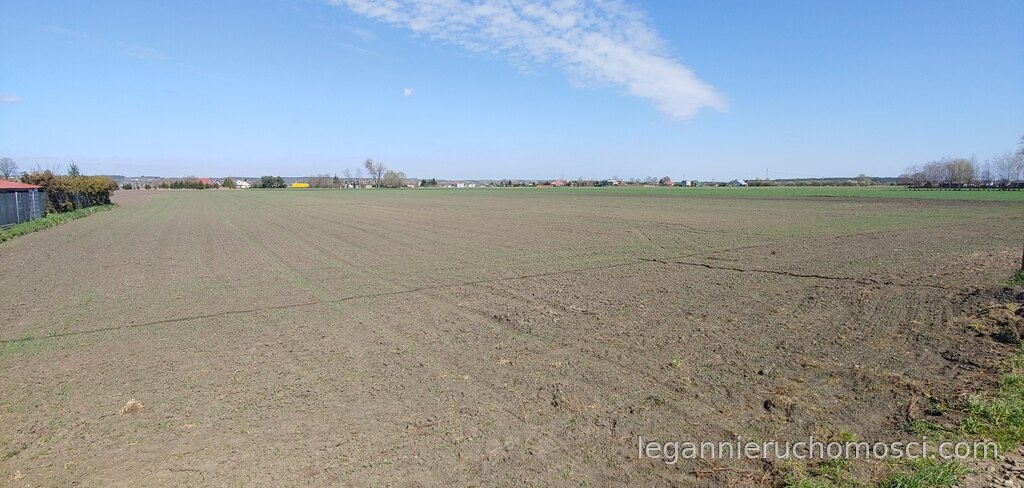 Działka, Gorzów Wielkopolski, Zakanale