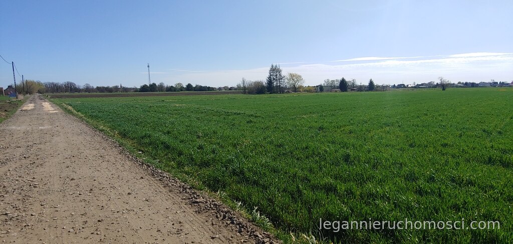 Działka, Gorzów Wielkopolski, Zakanale