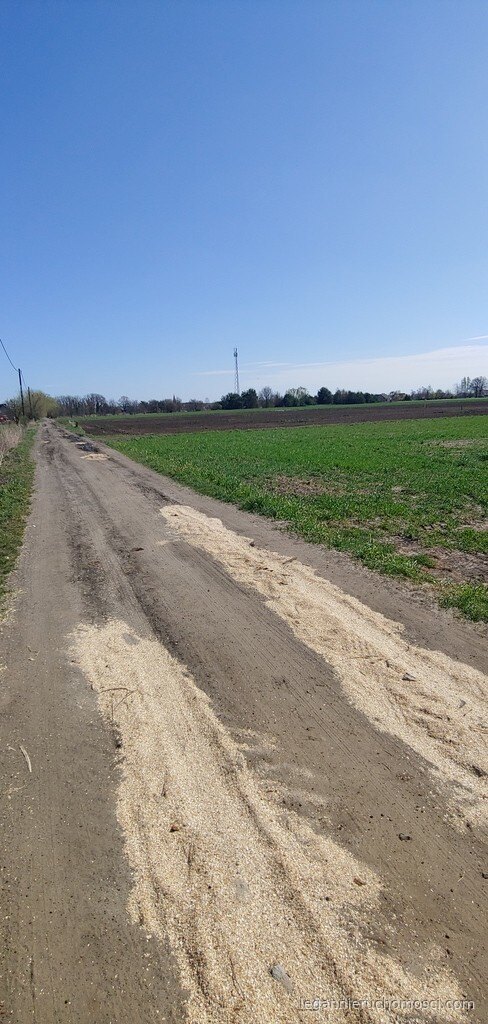 Działka, Gorzów Wielkopolski, Zakanale