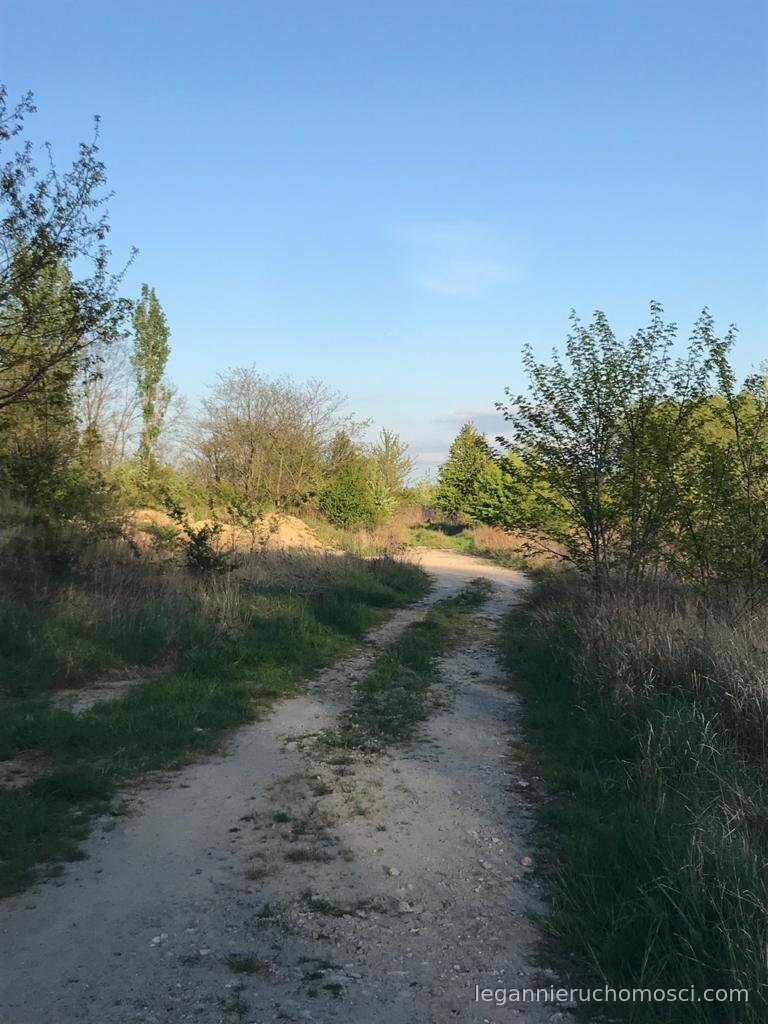 Działka, Gorzów Wielkopolski