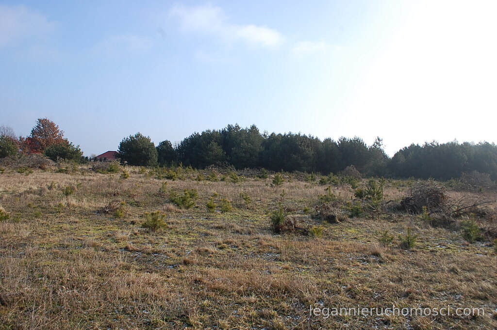 Działka, Santocko