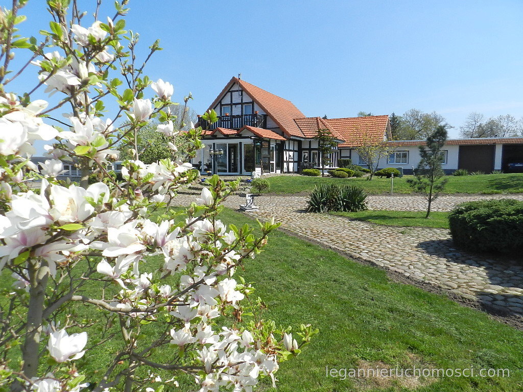Obiekt komercyjny, 550 000,00 m², Głuchowo