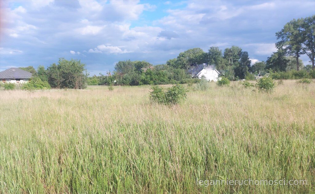 Działka, Gorzów Wielkopolski, Zieleniec