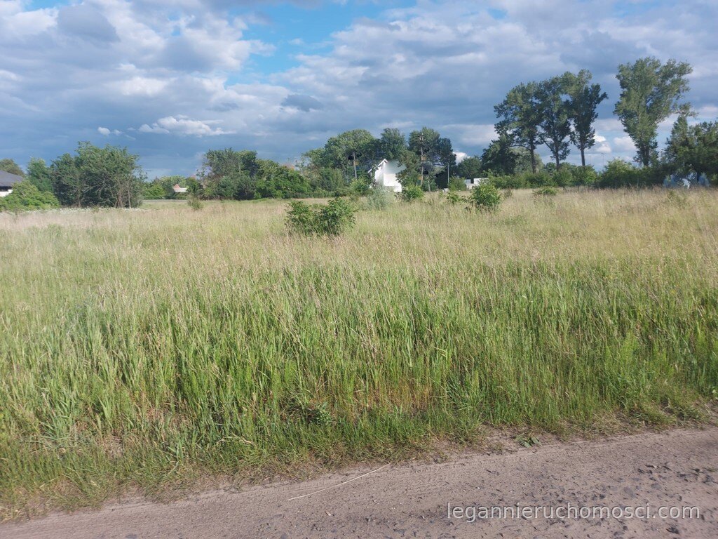Działka, Gorzów Wielkopolski, Zieleniec