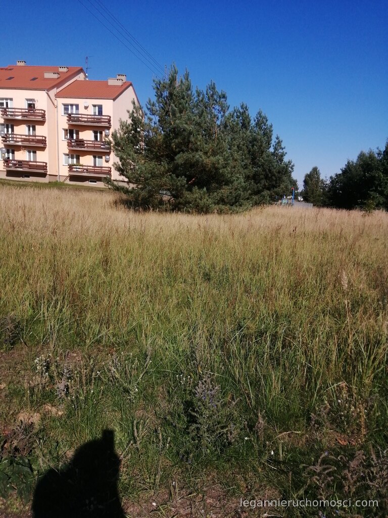 Działka, Lubiszyn
