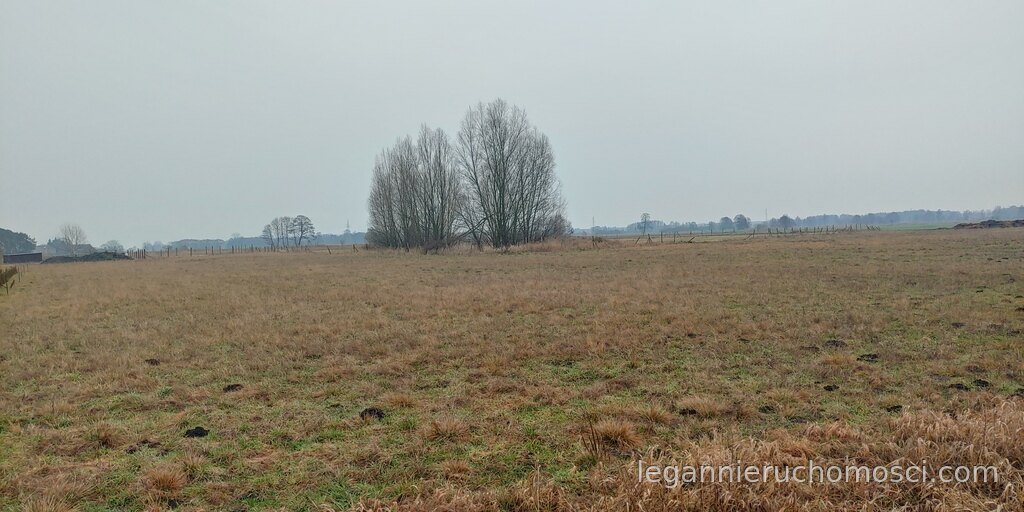 Działka, Łagodzin