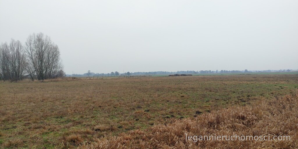 Działka, Łagodzin