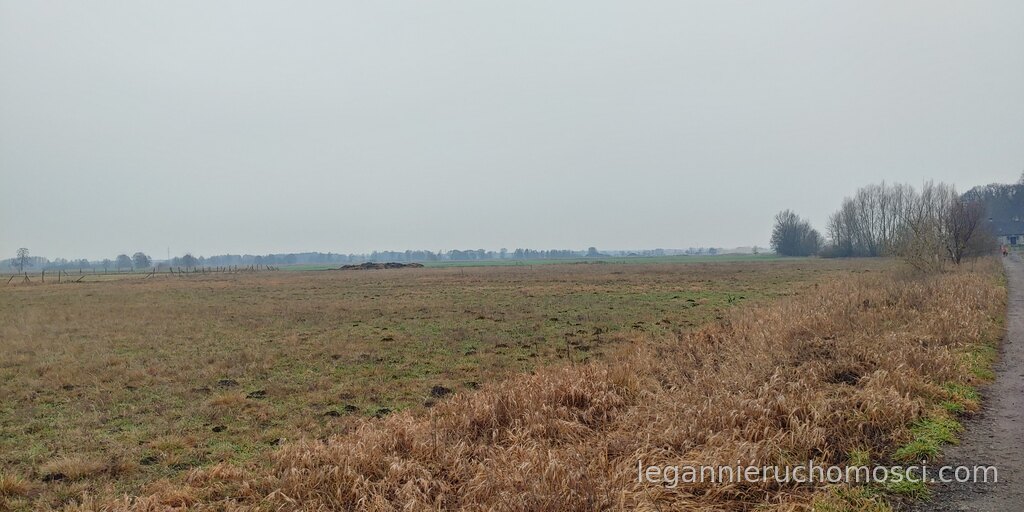 Działka, Łagodzin