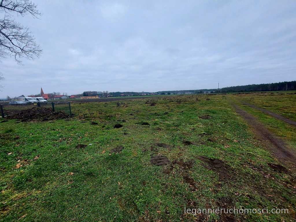 Działka, Białcz