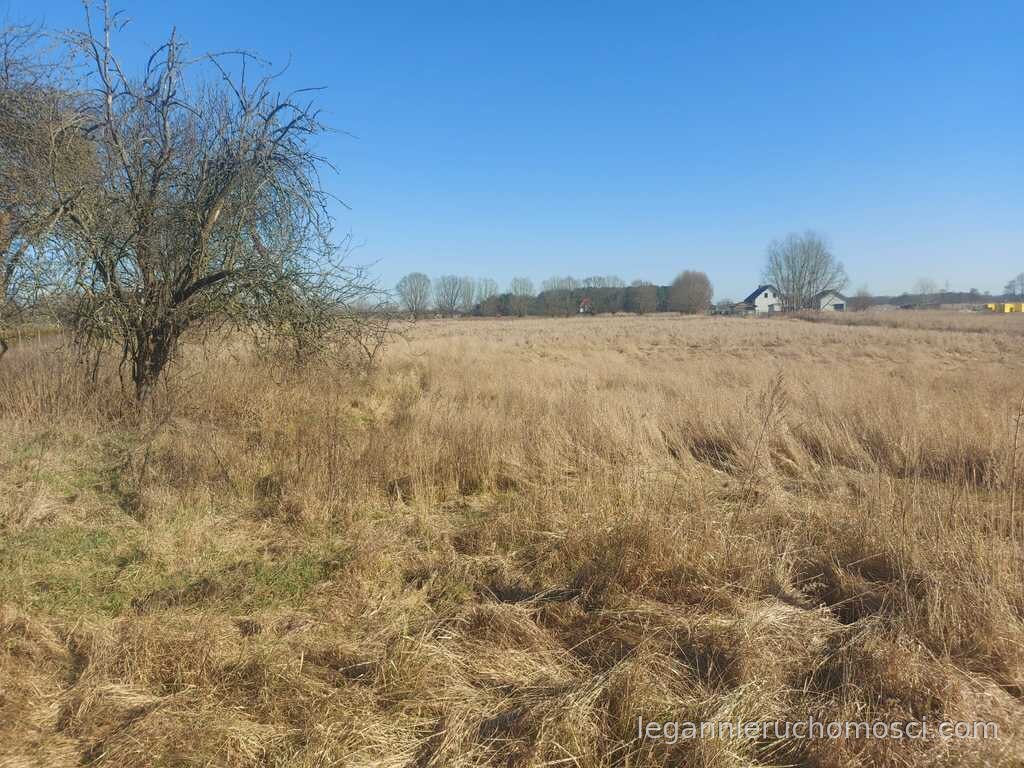 Działka, Łagodzin