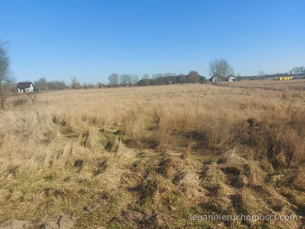Działka, Łagodzin