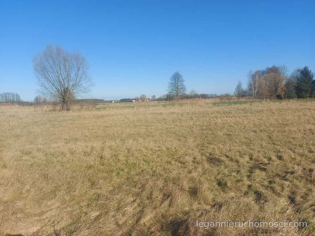 Działka, Łagodzin