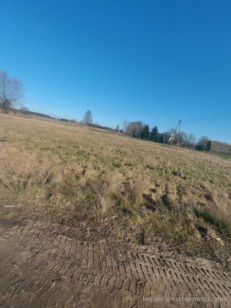Działka, Łagodzin